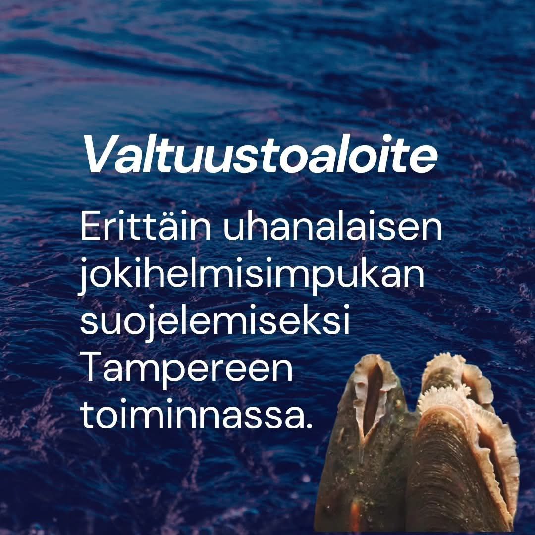 Valtuustoaloite erittäin uhanalaisen jokihelmisimpukan suojelemiseksi Tampereen toiminnassa